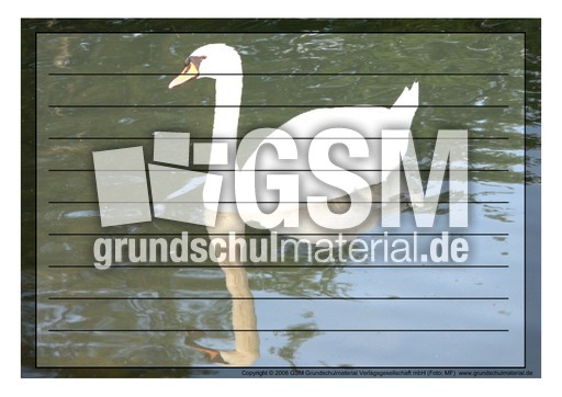 Schmuckrahmen-Höckerschwan-2.pdf